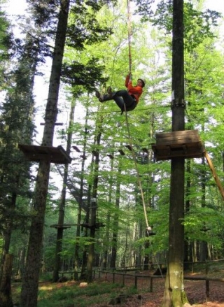  向前迈进，呼喊就像人猿泰山 